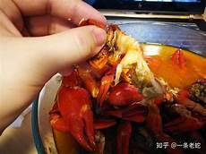 最大的虾图片