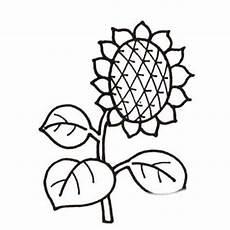 太阳花简笔画大全大图