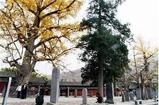 登封少林寺旅游攻略